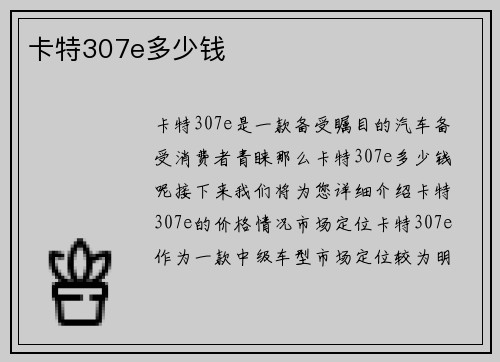 卡特307e多少钱